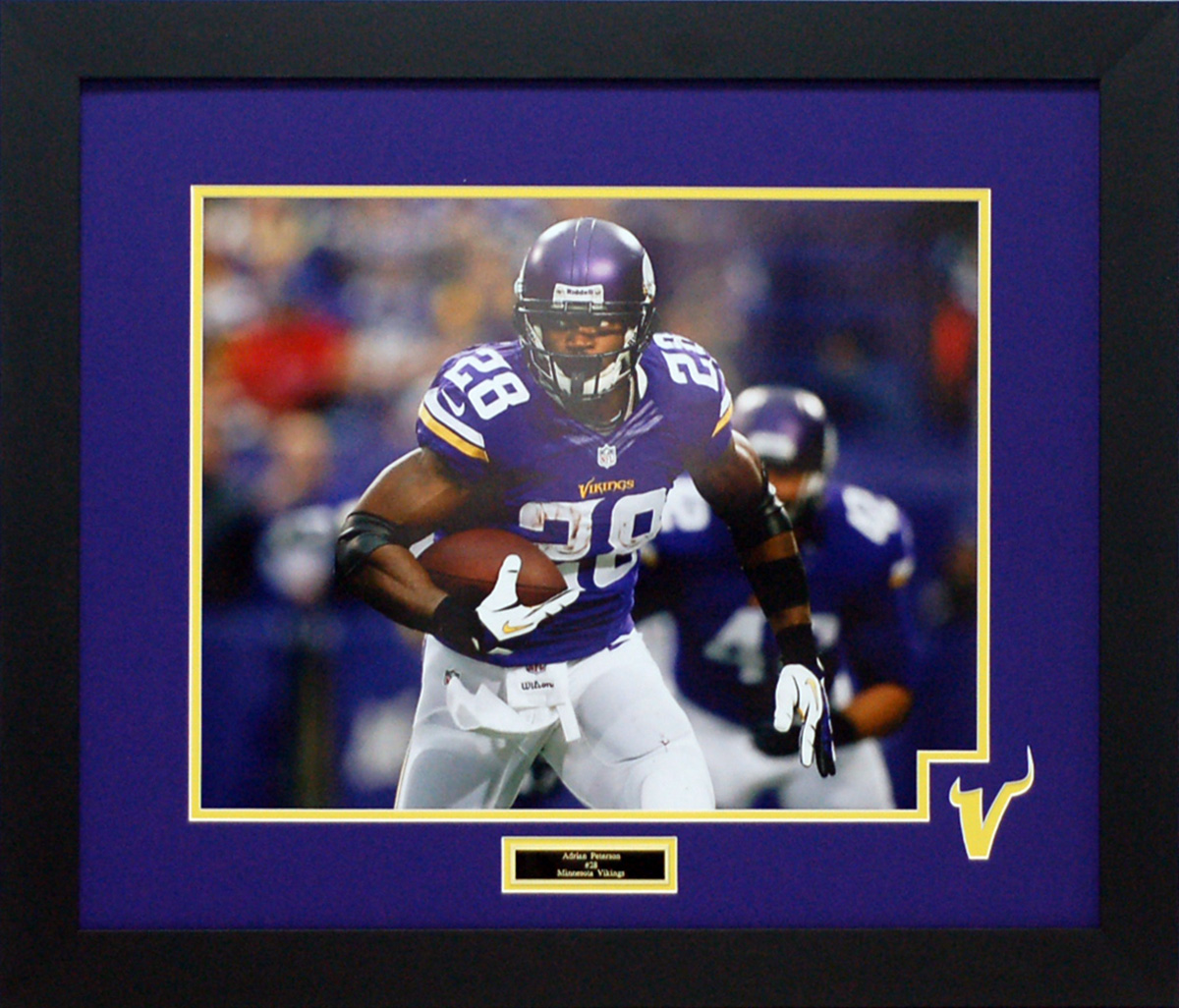 Minnesota Vikings #28 Adrian Peterson Framed 16x20 - AME Sports