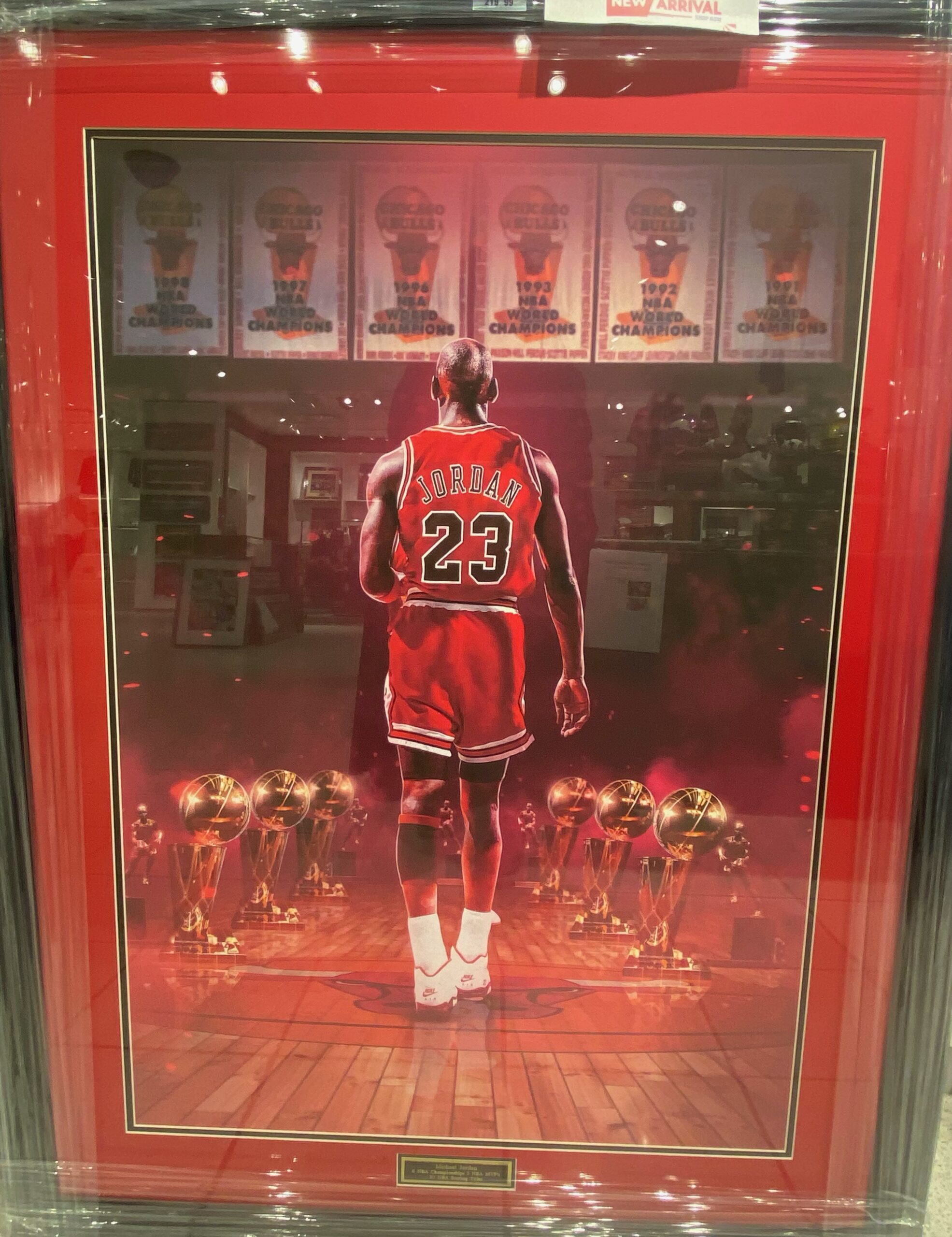 Framed poster NBA - Chicago Bulls Logo